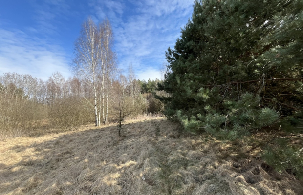 Działka o pow. 2,08 ha w m. Kawęczyn gm. Ciepielów