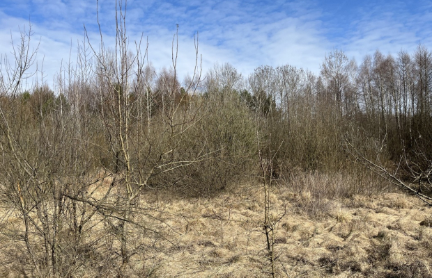 Działka o pow. 2,08 ha w m. Kawęczyn gm. Ciepielów