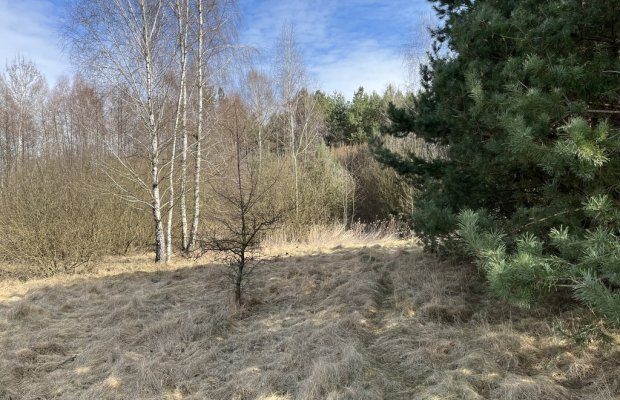 Działka o pow. 2,08 ha w m. Kawęczyn gm. Ciepielów