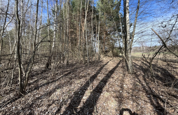 Działka o pow. 2,08 ha w m. Kawęczyn gm. Ciepielów