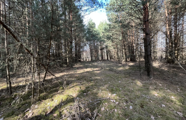 Działka o pow. 2,08 ha w m. Kawęczyn gm. Ciepielów