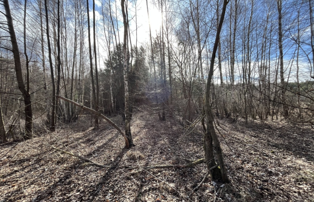 Działka o pow. 2,08 ha w m. Kawęczyn gm. Ciepielów