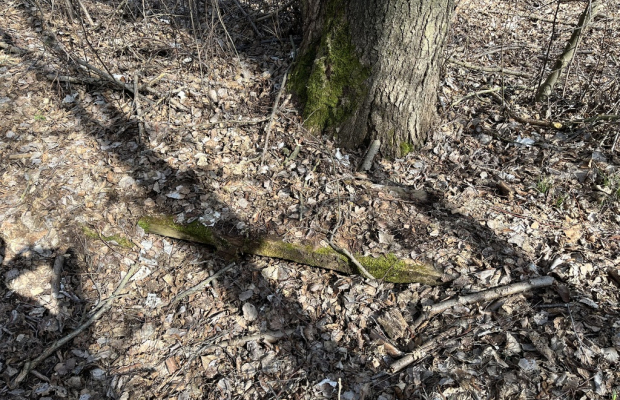 Działka o pow. 2,08 ha w m. Kawęczyn gm. Ciepielów