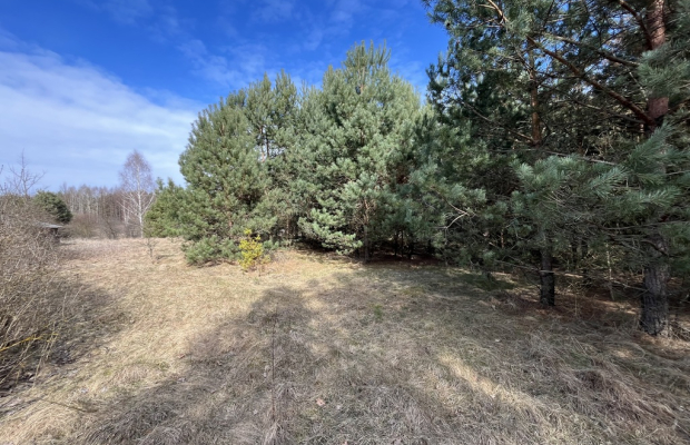 Działka o pow. 2,08 ha w m. Kawęczyn gm. Ciepielów