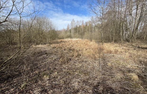 Działka o pow. 2,08 ha w m. Kawęczyn gm. Ciepielów