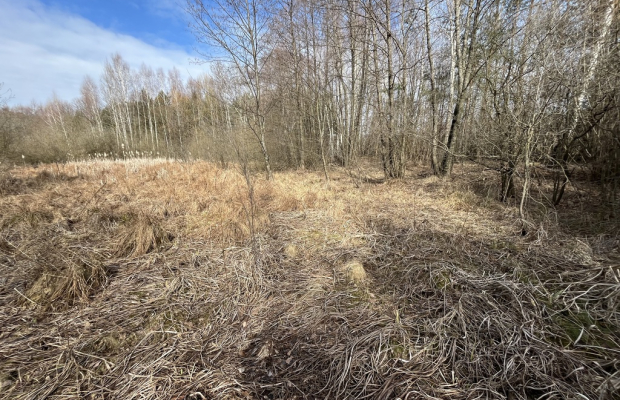Działka o pow. 2,08 ha w m. Kawęczyn gm. Ciepielów