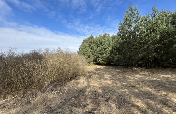 Działka o pow. 2,08 ha w m. Kawęczyn gm. Ciepielów