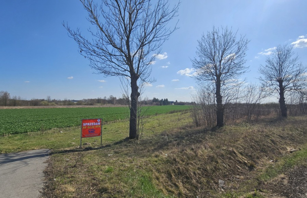 Kock, 76 ar, produkcja, składy, magazyny i mieszk