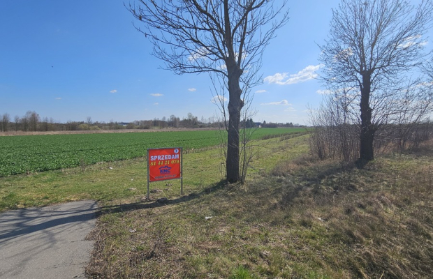 Kock, 76 ar, produkcja, składy, magazyny i mieszk