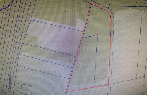 Działka 2,15 ha z potencjałem koło Nałęczowa.