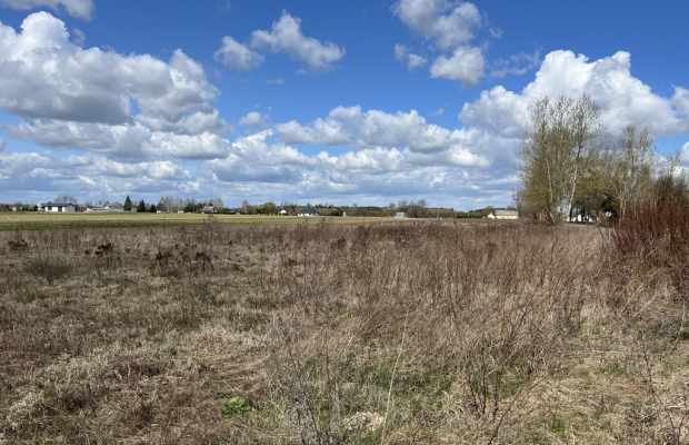 Działka 2940 m2 z WZ w Przyłęku pow. Zwoleń.