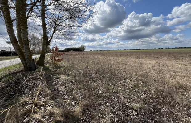Działka 2940 m2 z WZ w Przyłęku pow. Zwoleń.