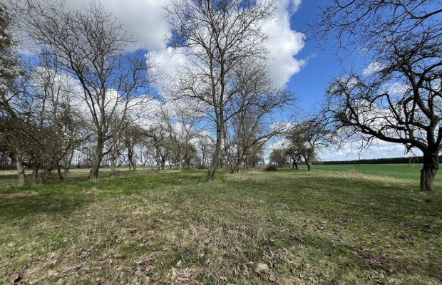 Działka 2940 m2 z WZ w Przyłęku pow. Zwoleń.