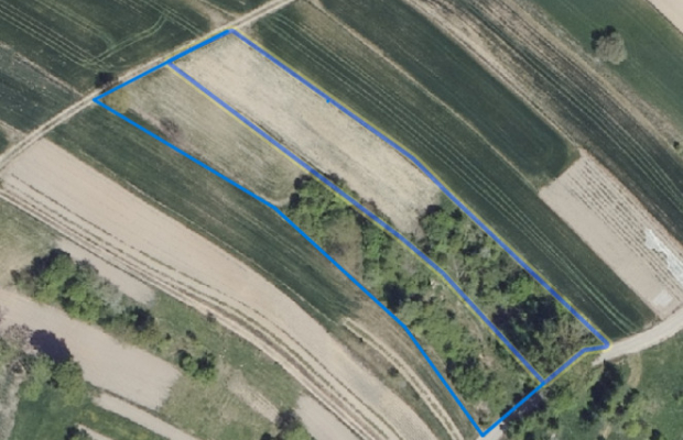 Krzczonów, Sobieska Wola Pierwsza, Działka, 52ar