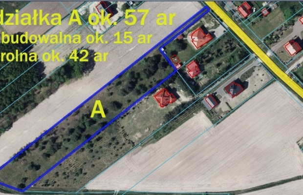 Duża działka 0,6 ha leśno-budowlana Wola Lisowska