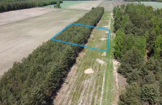 Działka z WZ w Wólce Gonciarskiej gm. Kazanów.
