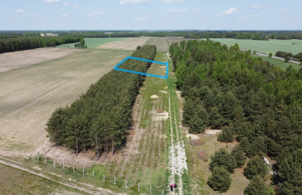 Działka z WZ w Wólce Gonciarskiej gm. Kazanów.