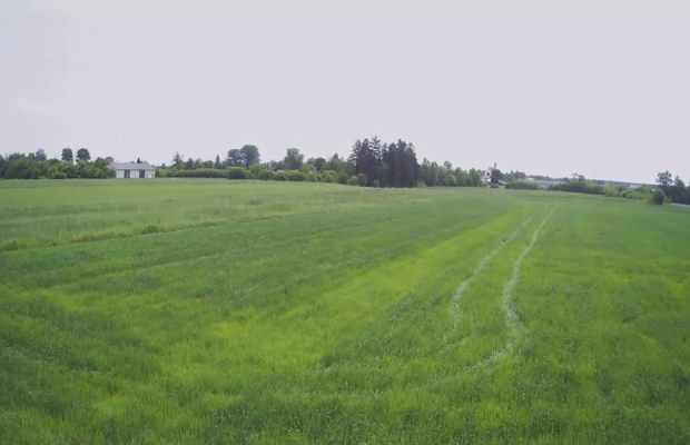 Działka rolno-budowalana Brzostówka g. Serniki 50a