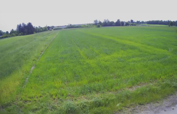 Działka rolno-budowalana Brzostówka g. Serniki 50a