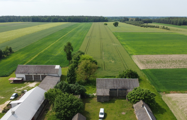 Działka rolna 3 ha w Jasieńcu Soleckim (zwoleński)