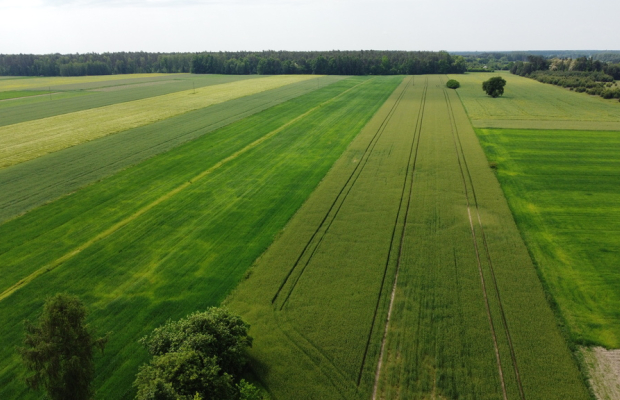 Działka rolna 3 ha w Jasieńcu Soleckim (zwoleński)