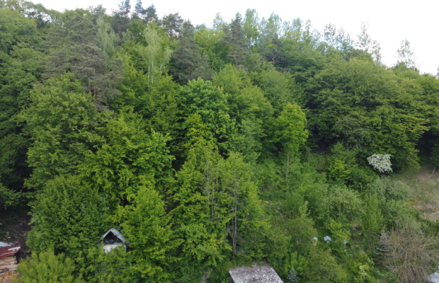 Dom na działce 1,5 km od rynku w Kazimierzu Dolnym