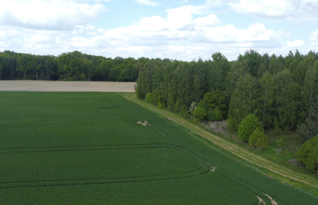 Działka 2,15 ha z potencjałem koło Nałęczowa.