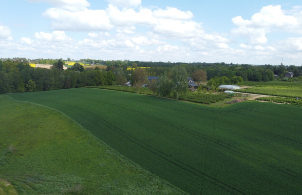 Działka 2,15 ha z potencjałem koło Nałęczowa.