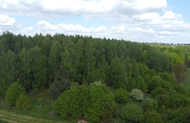 Działka 2,15 ha z potencjałem koło Nałęczowa.