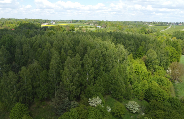 Działka 2,15 ha z potencjałem koło Nałęczowa.