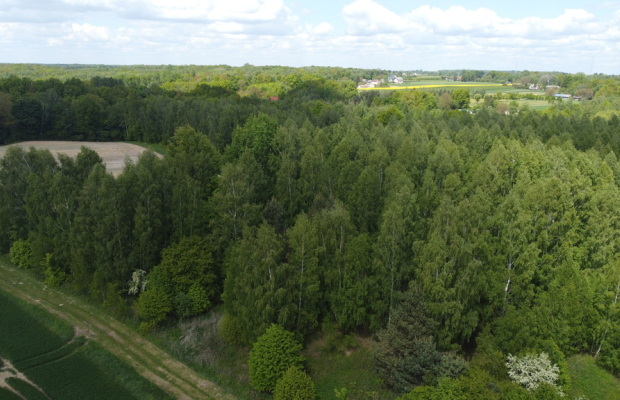 Działka 2,15 ha z potencjałem koło Nałęczowa.