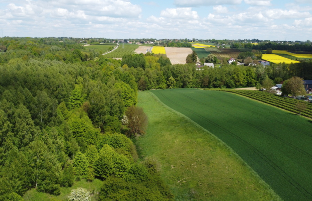 Działka 2,15 ha z potencjałem koło Nałęczowa.