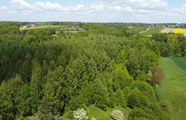 Działka 2,15 ha z potencjałem koło Nałęczowa.