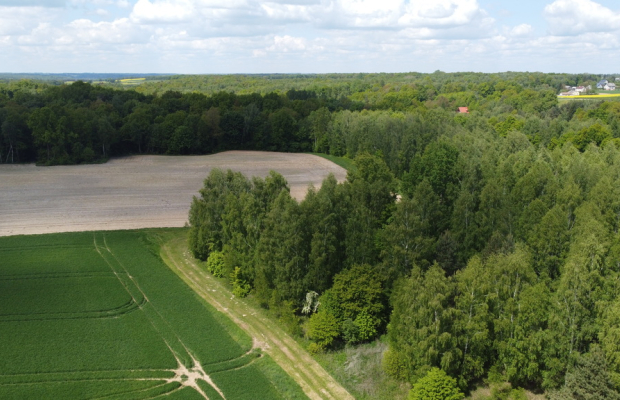 Działka 2,15 ha z potencjałem koło Nałęczowa.