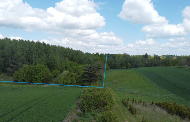 Działka 2,15 ha z potencjałem koło Nałęczowa.
