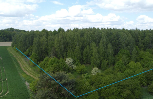 Działka 2,15 ha z potencjałem koło Nałęczowa.