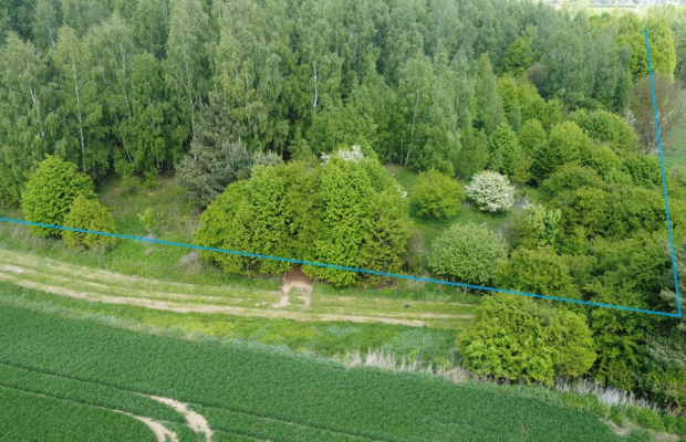 Działka 2,15 ha z potencjałem koło Nałęczowa.