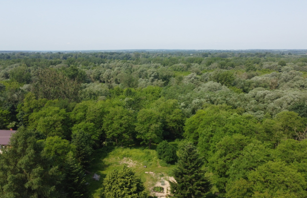 Dom w Kaliszanach Kolonii gm. Józefów nad Wisłą.