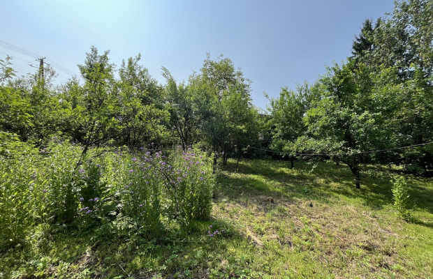 Dom w Kaliszanach Kolonii gm. Józefów nad Wisłą.