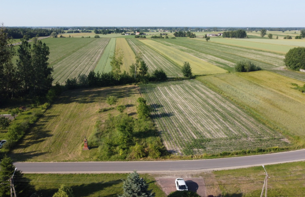 Działka o pow. 6461 m2 w Wysokim Kole (Gniewoszów)