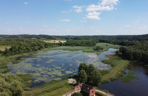 Działka 35 ha z ruinami papierni w Celejowie.