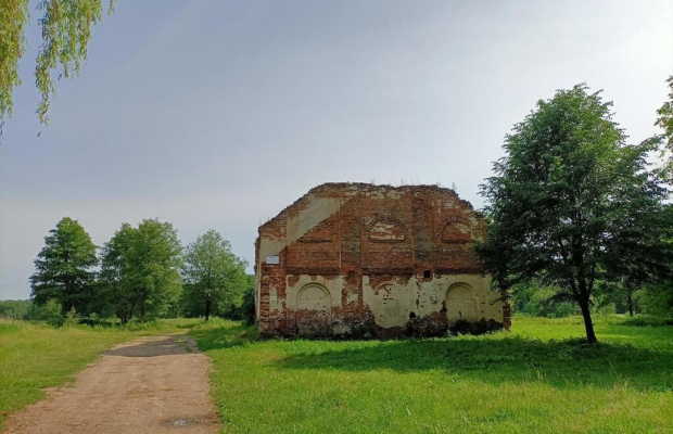 Działka 35 ha z ruinami papierni w Celejowie.