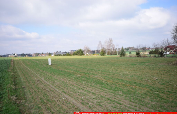 Kalinówka- 10 ar z dopuszcz. zabud. mieszk. media