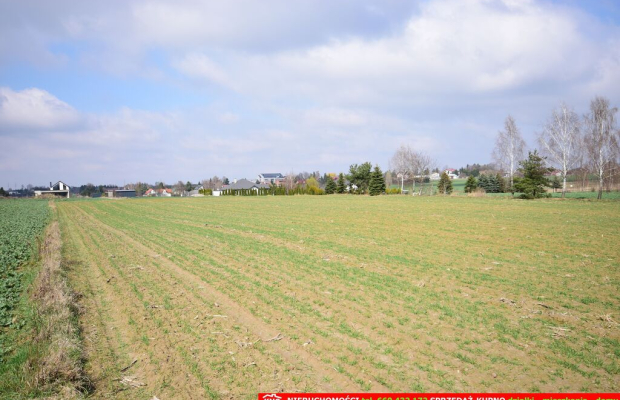 Kalinówka- 10 ar z dopuszcz. zabud. mieszk. media