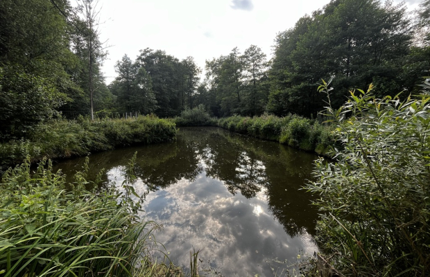 Bielsko- dom z działką, stawem i zabudowaniami