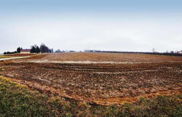 Tomaszowice - działka 20ar położona na wzniesieniu