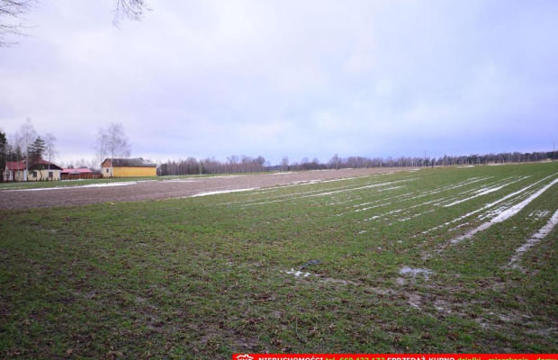 Wierciszów, działka budowlana MN, media.