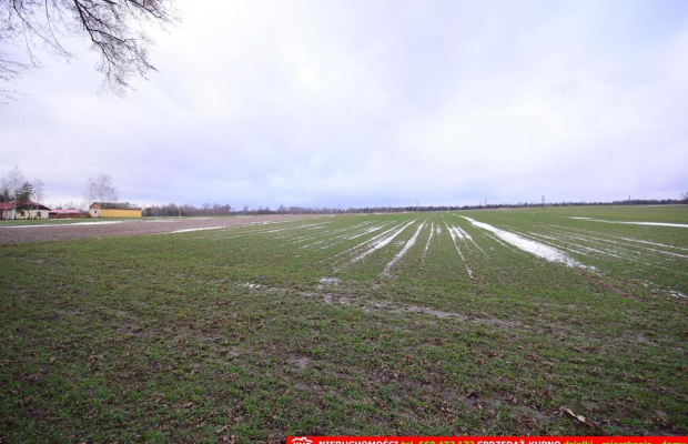 Wierciszów, działka budowlana MN, media.