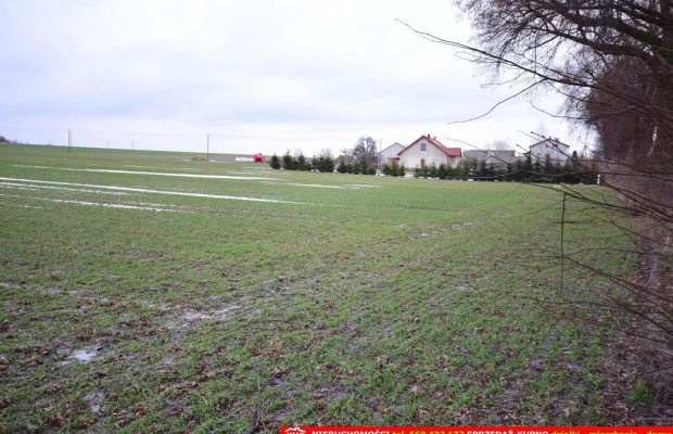 Wierciszów, działka budowlana MN, media.