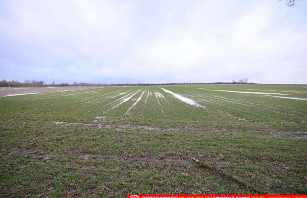 Wierciszów, działka budowlana MN, media.